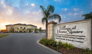 Vienna Square Audio Install